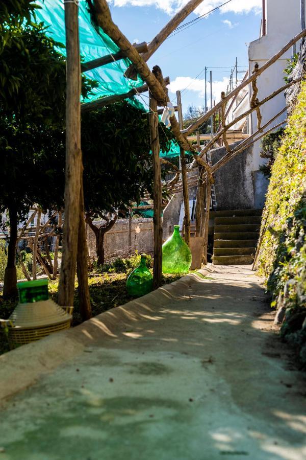 Casa Primula Villa Amalfi Luaran gambar